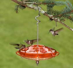 Decorative Hummingbird Feeder